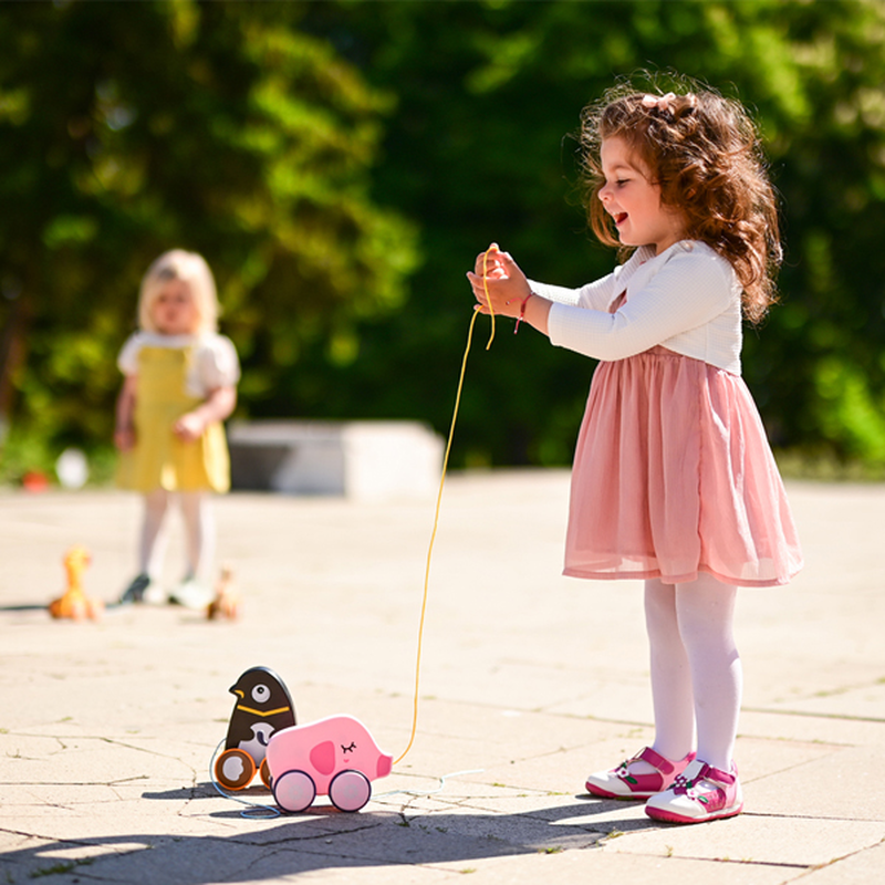 Product image: Lorelli συρόμενο ξύλινο παιχνίδι ελέφαντας 12m+, , medium-null