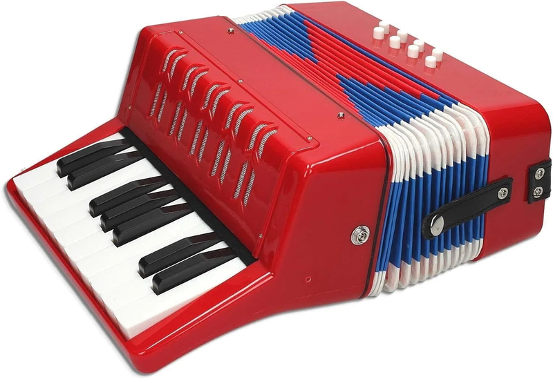 Reig accordion musical instrument, , medium image number null