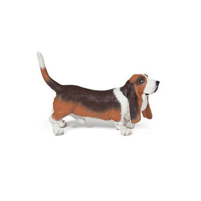 Basset hound, , medium