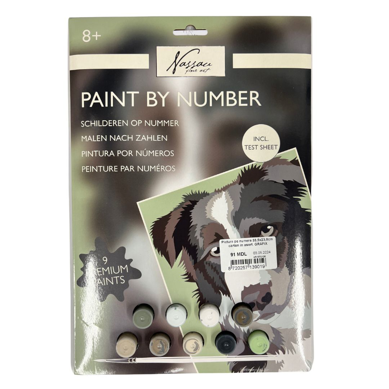 Nassau paint by number, , medium-null