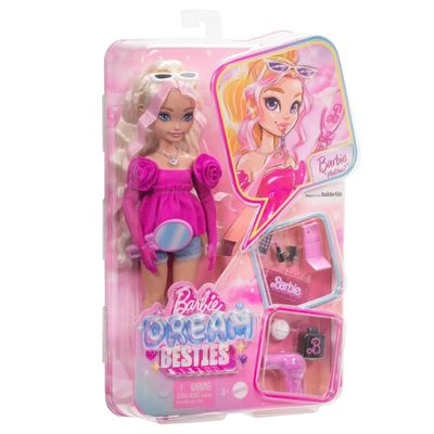 Barbie dream besties doll and accessories