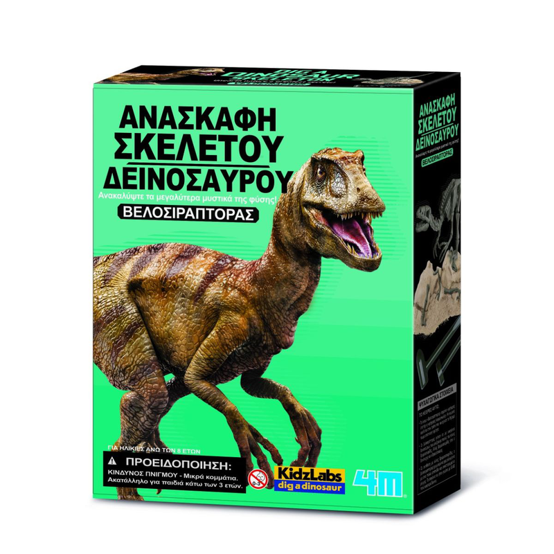 &Epsilon;&kappa;&pi;&alpha;&iota;&delta;&epsilon;&upsilon;&tau;&iota;&kappa;ό &sigma;&epsilon;&tau; &pi;&alpha;&lambda;&alpha;&iota;&omicron;&nu;&tau;&omicron;&lambda;&omicron;&gamma;ί&alpha;&sigmaf; &alpha;&nu;&alpha;&sigma;&kappa;&alpha;&phi;ή &sigma;&kappa;&epsilon;&lambda;&epsilon;&tau;&omicron;ύ &delta;&epsilon;&iota;&nu;&omicron;&sigma;&alpha;ύ&rho;&omicron;&upsilon; &beta;&epsilon;&lambda;&omicron;&sigma;&iota;&rho;ά&pi;&tau;&omicron;&rho;&alpha;&sigmaf; 8+ &epsilon;&tau;ώ&nu;, , medium-null