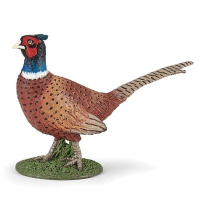 Pheasant, , medium