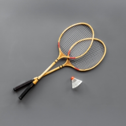 Category image: Badminton Equipment