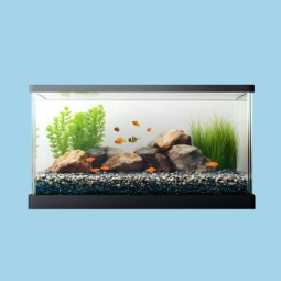 Category image: Aquariums